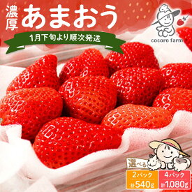 【ふるさと納税】【先行予約】あまおう 540g 1080g 2パック 4パック ココロファームの濃厚あまおう【2027年1月下旬～3月下旬発送】《豊前市》【ココロファーム】[VAE007] 苺 いちご あまおう 福岡県産