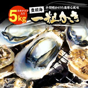 yӂ邳Ɣ[Łzys\zLOCꗱ 5kg y2026N1{ȍ~z sLOstyLzƋgz y a JL  H kt ICX^[ y JL BBQ  