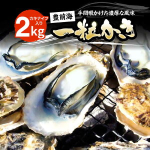 yӂ邳Ɣ[Łzys\zLOCꗱ 2kg y2026N1{ȍ~z sLOstyLzƋgz y a JL  H kt ICX^[ y JL BBQ  
