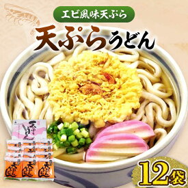 【ふるさと納税】天ぷらうどん（12食入り）《豊前市》【富士菊】うどん 天ぷらうどん 天ぷら 麺 麺類 福岡 豊前 [VAI010]