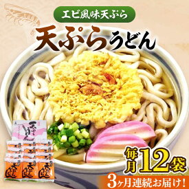 【ふるさと納税】【全3回定期便】天ぷらうどん(12食入り)《豊前市》【富士菊】うどん 天ぷらうどん 天ぷら 麺 麺類 福岡 豊前[VAI055]