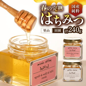 yӂ邳Ɣ[Łzt̊n݂͂ R 120g  c 120gsLOsty{c{IzI ݂͂  Mtg[VAR004] 11000 11000~