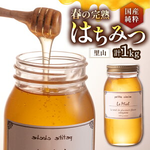 yӂ邳Ɣ[Łzt̊n݂͂ R 1kgsLOsty{c{IzI ݂͂  Mtg[VAR006] 23000 23000~