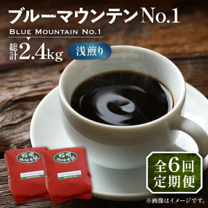 yӂ邳Ɣ[ŁzyS6ցzu[}Ee NO.1 R[q[ (  ) sLOsty_z  R[q[  [VAS150] 236000 236000~