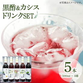 【ふるさと納税】【母の日ギフト】黒酢 & カシス ドリンク 5本セット 500ml ×3種（ ブルーベリー 黒酢 / クランベリー & ラズベリー 黒酢 / カシスはちみつ）《豊前市》【ハウスボトラーズ】[VAX006] ヘルシー ジュース 飲料 詰め合わせ 母の日 おすすめ 人気