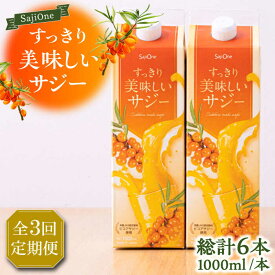 【ふるさと納税】【全3回定期便】美味しいサジーが毎月届く！すっきり美味しいサジー 2本《豊前市》【ハウスボトラーズ】[VAX036]