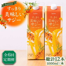 【ふるさと納税】【全6回定期便】美味しいサジーが毎月届く！すっきり美味しいサジー 2本《豊前市》【ハウスボトラーズ】[VAX039]