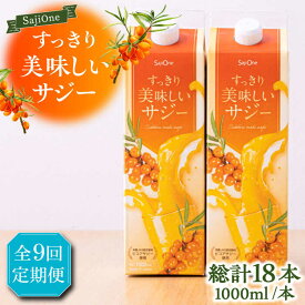 【ふるさと納税】【全9回定期便】美味しいサジーが毎月届く！すっきり美味しいサジー 2本《豊前市》【ハウスボトラーズ】[VAX042]