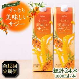 【ふるさと納税】【全12回定期便】美味しいサジーが毎月届く！すっきり美味しいサジー 2本《豊前市》【ハウスボトラーズ】[VAX045]