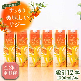 【ふるさと納税】【全2回定期便】家族みんなでおいしく飲める！ すっきり美味しい サジー 6本 《豊前市》【ハウスボトラーズ】[VAX047]