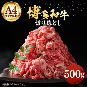 yӂ邳Ɣ[ŁzyA4ȏza ؂藎Ƃ 500gsLOstyMEAT PLUSz  o  [VBB003] 10000 10000~