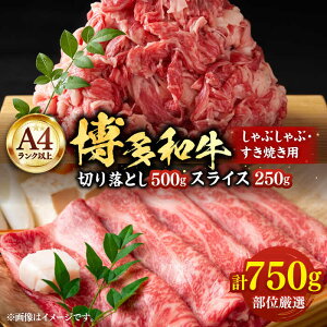 yӂ邳Ɣ[ŁzyA4ȏza XCX 250g ؂藎Ƃ500g Ԃ Ă p i [X / o /  jsLOstyMEAT PLUSz  [VBB007] 14000 14000~