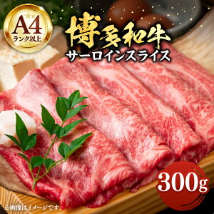 yӂ邳Ɣ[ŁzyA4ȏza T[C XCX 300g Ԃ Ă sLOstyMEAT PLUSz  [VBB008] 12000 12000~