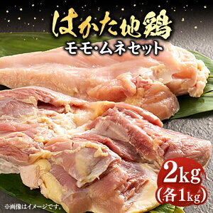 yӂ邳Ɣ[Łz͂n{lZbg 2kgi1kg×2pjsLOstyMEAT PLUSz{ {  [VBB038] 16000 16000~