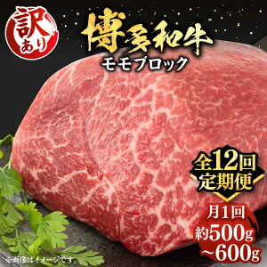 yӂ邳Ɣ[ŁzyS12ցzy󂠂za  ubNi[Xgr[tpj500g`600g sLOstyMEAT PLUSz  [Xgr[t[VBB054] 220000 220000~