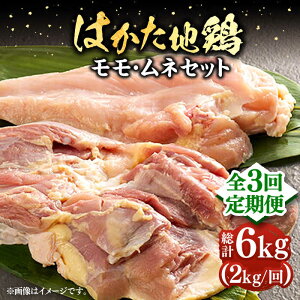 yӂ邳Ɣ[ŁzyS3ցz͂n{lZbg 2kgi1kg×2pjsLOstyMEAT PLUSz{ {  [VBB058] 48000 48000~