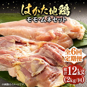 yӂ邳Ɣ[ŁzyS6ցz͂n{lZbg 2kgi1kg×2pjsLOstyMEAT PLUSz{ {  [VBB059] 96000 96000~