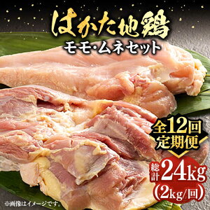 yӂ邳Ɣ[ŁzyS12ցz͂n{lZbg 2kgi1kg×2pjsLOstyMEAT PLUSz{ {  [VBB060] 192000 192000~