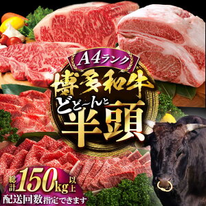 yӂ邳Ɣ[ŁzyۂƃI[_[JbgIza HאsZbgsLOstyMEAT PLUSz[VBB083]