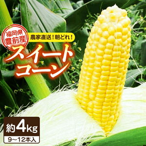 yӂ邳Ɣ[Łzys\t@2026N6菇zy①zz_ƒ ǂ XC[gR[ 4kgi9`12{jsLOstyz_z  R[ [VBC001] 12000 12000~