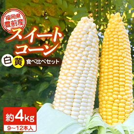 【ふるさと納税】【先行予約】農家直送 朝どれ スイートコーン 白 黄 食べ比べ セット 約4kg 9〜12本入 （2026年6月頃より順次発送）【湯越農園】《豊前市》[VBC002] とうもろこし ホワイト トウモロコシ コーン 甘い 野菜 旬 朝採れ 朝採り 新鮮 生 国産 産地直送 人気