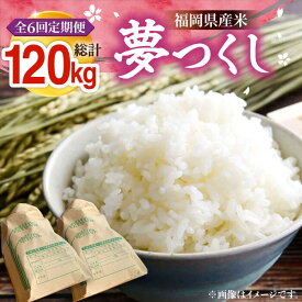 【ふるさと納税】【全6回定期便】【R8年産】 新米 福岡県産 夢つくし 20kg ( 10kg ×2袋)《豊前市》【湯越農園】[VBC015] 令和8年 先行予約 米 お米 精米 白米 ブランド米 国産 ごはん ご飯 単一原料米 こめ コスパ おすすめ ゆめつくし 10キロ 20キロ 定期便 6回