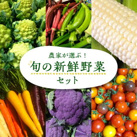 【ふるさと納税】農家が選ぶ！ 旬の新鮮野菜セット《豊前市》【田村農産】[VBE002] 産直 野菜 やさい 詰め合わせ 15000 15000円