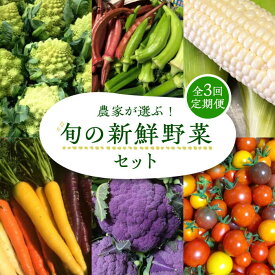 【ふるさと納税】【全3回定期便】農家が選ぶ！ 旬の新鮮野菜セット《豊前市》【田村農産】[VBE008] 産直 野菜 やさい 詰め合わせ 44000 44000円