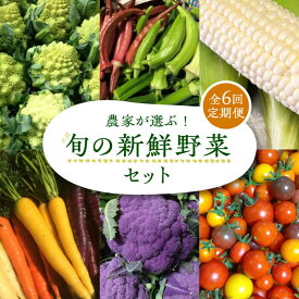 【ふるさと納税】【全6回定期便】農家が選ぶ！ 旬の新鮮野菜 約15種類 セット《豊前市》【田村農産】産直 野菜 やさい 詰め合わせ[VBE009]