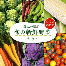 【ふるさと納税】【全12回定期便】農家が選ぶ！ 旬の新鮮野菜セット《豊前市》【田村農産】[VBE010] 産直 野菜 やさい 詰め合わせ 173000 173000円