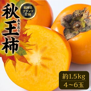 yӂ邳Ɣ[Łzys\zH (  ) ` 1.5kg  (4-6)y2025N10ȍ~zsLOsty썑t[cz` ʕ t[czs[VBY006]