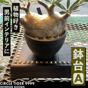 yӂ邳Ɣ[Łz1_m  A sLOstyCIRCLE TIGER 9999zCeA A O[  ϗtA[VCS001] 63000 63000~