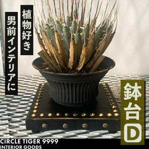 yӂ邳Ɣ[Łz1_m  DsLOstyCIRCLE TIGER 9999zCeA A O[  ϗtA[VCS004] 46000 46000~