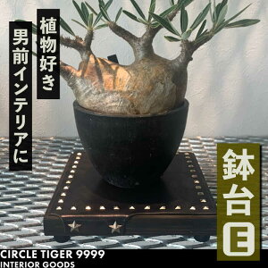 yӂ邳Ɣ[Łz1_m  EsLOstyCIRCLE TIGER 9999zCeA A O[  ϗtA[VCS005] 46000 46000~