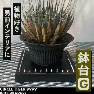 yӂ邳Ɣ[Łz1_m  GsLOstyCIRCLE TIGER 9999zCeA A O[  ϗtA[VCS007] 46000 46000~