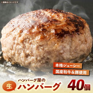 yӂ邳Ɣ[Łzno[O̓`鐶no[O 150g×40sLOstyS_CjO `InEXz no[O Ⓚ[VDC005] 66000 66000~