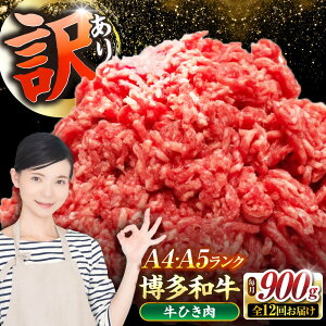 yӂ邳Ɣ[ŁzyS12ցzy󂠂z a 100 ~` (ғ) 900gi300g×3j sLOstyЖؑHiz Ђ  no[O[VDZ103]