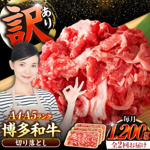 yӂ邳Ɣ[ŁzyS2ցzy󂠂zyA4`A5Nza ؂藎Ƃ 1.2kgi400g×3j sLOstyЖؑHiz Y J[ Ⴊ[VDZ120]