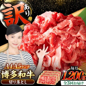 yӂ邳Ɣ[ŁzyS3ցzy󂠂zyA4`A5Nza ؂藎Ƃ 1.2kgi400g×3j sLOstyЖؑHiz Y J[ Ⴊ[VDZ121]