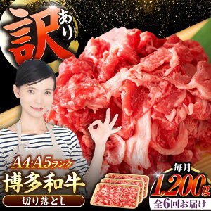 yӂ邳Ɣ[ŁzyS6ցzy󂠂zyA4`A5Nza ؂藎Ƃ 1.2kgi400g×3j sLOstyЖؑHiz Y J[ Ⴊ[VDZ122]