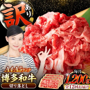 yӂ邳Ɣ[ŁzyS12ցzy󂠂zyA4`A5Nza ؂藎Ƃ 1.2kgi400g×3j sLOstyЖؑHiz Y J[ Ⴊ[VDZ123]