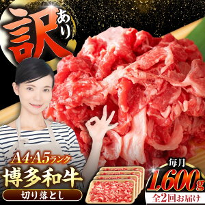yӂ邳Ɣ[ŁzyS2ցzy󂠂zyA4`A5Nza ؂藎Ƃ1.6kgi400g×4j sLOstyЖؑHiz Y J[ Ⴊ[VDZ128]