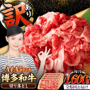 yӂ邳Ɣ[ŁzyS6ցzy󂠂zyA4`A5Nza ؂藎Ƃ1.6kgi400g×4j sLOstyЖؑHiz Y J[ Ⴊ[VDZ130]