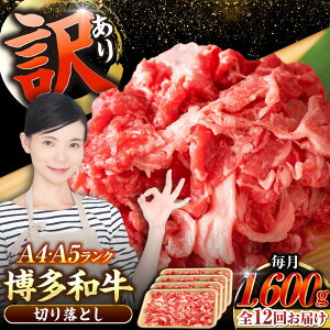 yӂ邳Ɣ[ŁzyS12ցzy󂠂zyA4`A5Nza ؂藎Ƃ1.6kgi400g×4j sLOstyЖؑHiz Y J[ Ⴊ[VDZ131]