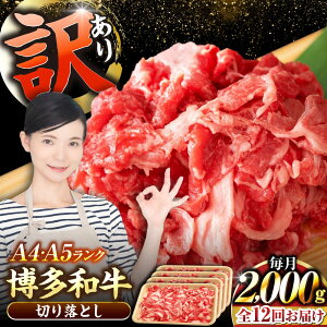 yӂ邳Ɣ[ŁzyS12ցzy󂠂zyA4`A5Nza ؂藎Ƃ 2.0kgi500g×4j sLOstyЖؑHiz Y J[ Ⴊ[VDZ151]