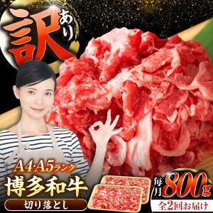 yӂ邳Ɣ[ŁzyS2ցzy󂠂zyA4`A5Nza ؂藎Ƃ 800gi400g×2jsLOstyЖؑHiz Y J[ Ⴊ[VDZ152]