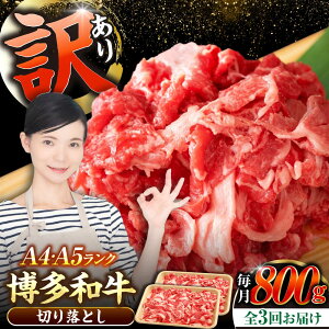 yӂ邳Ɣ[ŁzyS3ցzy󂠂zyA4`A5Nza ؂藎Ƃ 800gi400g×2jsLOstyЖؑHiz Y J[ Ⴊ[VDZ153]