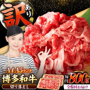 yӂ邳Ɣ[ŁzyS6ցzy󂠂zyA4`A5Nza ؂藎Ƃ 800gi400g×2jsLOstyЖؑHiz Y J[ Ⴊ[VDZ154]