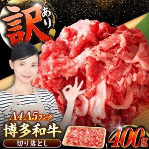 yӂ邳Ɣ[Łzy󂠂zyA4`A5Nza ؂藎Ƃ 400gsLOstyЖؑHizY јa  Ⴊ[VDZ001]