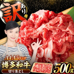 yӂ邳Ɣ[Łzy󂠂zyA4`A5Nza ؂藎Ƃ 500gsLOstyЖؑHizY јa  Ⴊ[VDZ002]